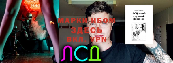 крисы Баксан