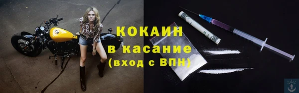 крисы Баксан