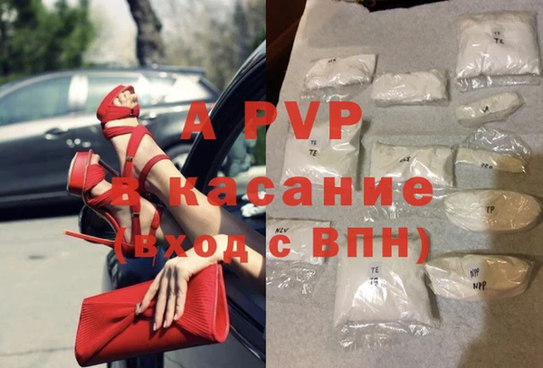 крисы Баксан