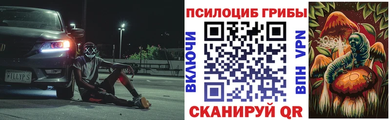 Галлюциногенные грибы Cubensis  Заполярный 