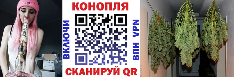 Канабис план Заполярный